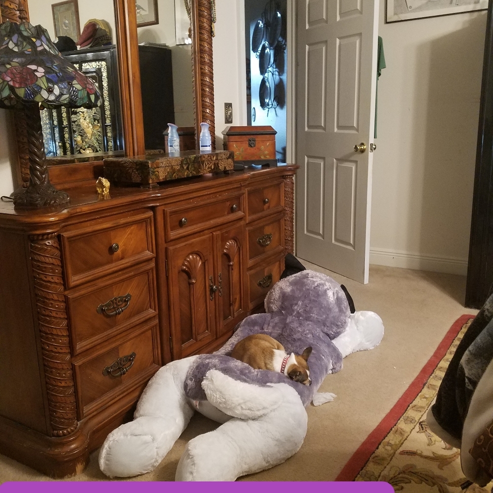 Huge Doggie or Kids Cuddly "CANNOT BE BUNDLED" DROPPED PRICE FOR QUICK SALE